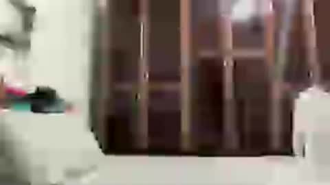 Snapshot of alessandromori91 chatting on June 15, 12:13 am alessandromori91 online show from June 15, 12:13 am