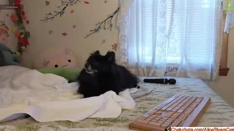 Alice Rivers ---- Enter my public Discord-  online show from February 5, 9:30 pm