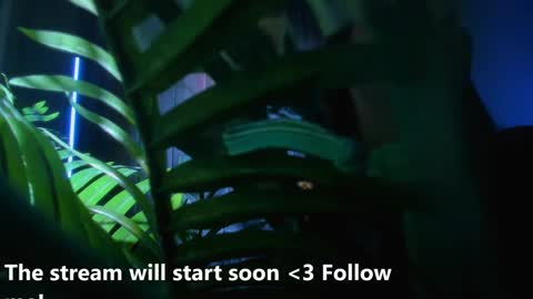 Snapshot of alicia_x_art chatting on December 2, 5:26 am Alicia Lici  online show from December 2, 5:26 am