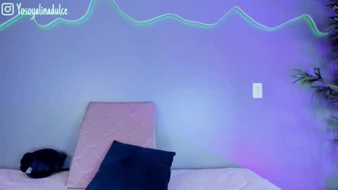    online show from September 18, 2:30 pm