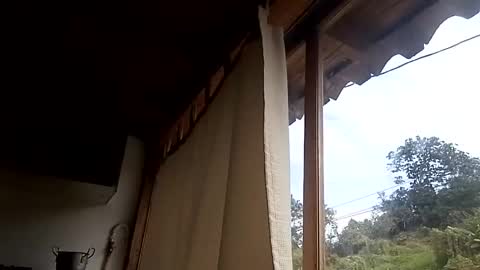 Alisson369  online show from February 13, 3:03 pm