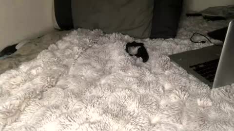 allthewayup10 online show from March 2, 8:38 am