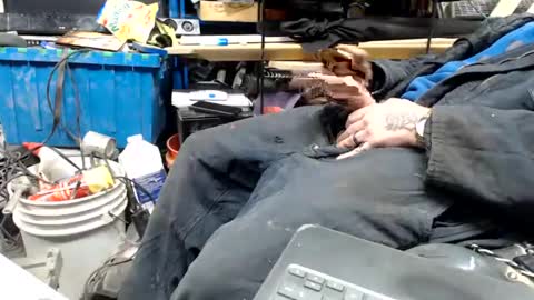 allwolf0323 online show from April 17, 9:23 am