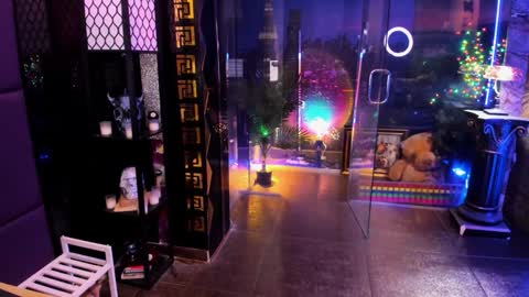 Alma online show from February 28, 8:37 am