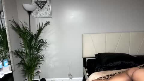 alongcamelexy online show from October 9, 4:43 am