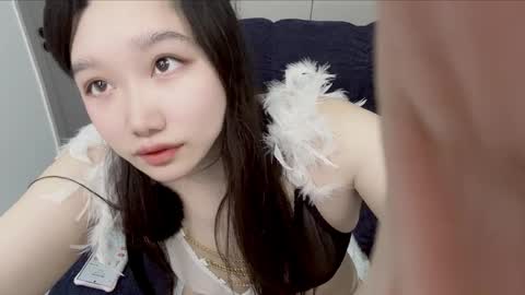 alovelycat online show from March 22, 2:04 am