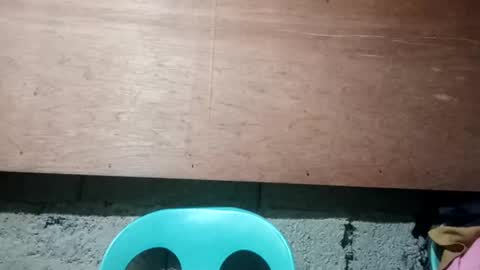 Snapshot of altheahot_asian chatting on December 19, 11:57 pm altheahot_asian online show from December 19, 11:57 pm