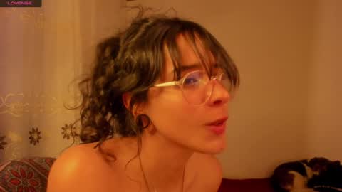 . .  online show from December 19, 11:14 pm