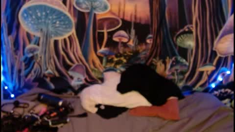 Snapshot of alyssaarcane chatting on May 28, 9:34 pm alyssaarcane online show from May 28, 9:34 pm