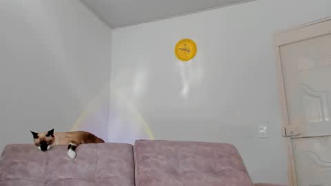 Snapshot of amatiistur chatting on February 15, 8:54 pm Tammy online show from February 15, 8:54 pm