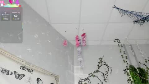 Ameli online show from February 14, 3:03 am