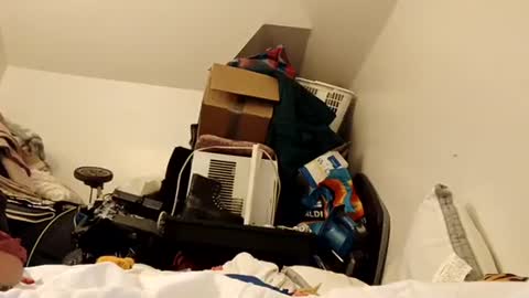 Snapshot of amileamariestar chatting on December 16, 7:15 am amileamariestar online show from December 16, 7:15 am