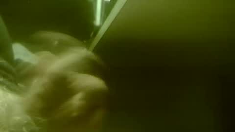 Snapshot of amolafica12 chatting on November 20, 8:03 am amolafica12 online show from November 20, 8:03 am