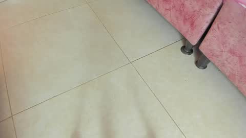 Snapshot of amy__rose__ chatting on May 19, 3:02 am amy__rose__ online show from May 19, 3:02 am