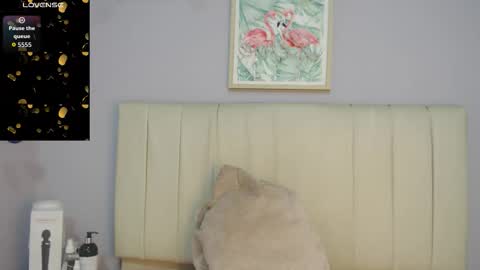 Amy online show from December 3, 1:53 pm