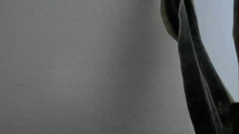 Snapshot of anapakerman chatting on February 13, 1:50 am Ana Pakerman online show from February 13, 1:50 am