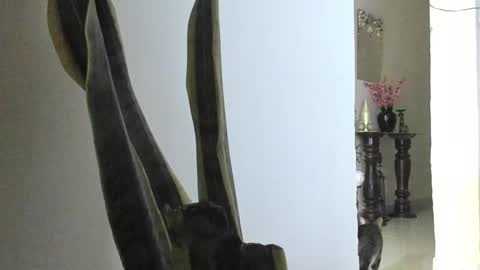 Snapshot of anapakerman chatting on March 9, 12:42 am Ana Pakerman online show from March 9, 12:42 am