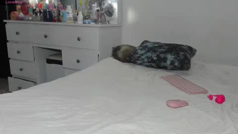  ANASTASIA DANGER  online show from March 11, 12:44 pm