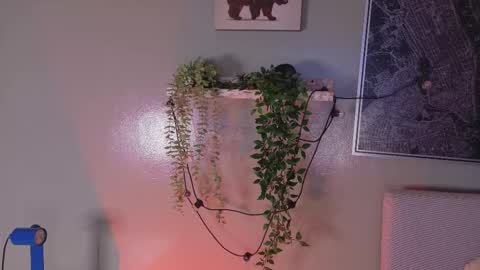 Kendra  online show from February 20, 10:16 am