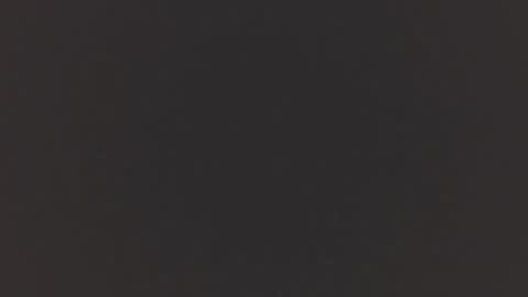   online show from November 19, 11:21 am