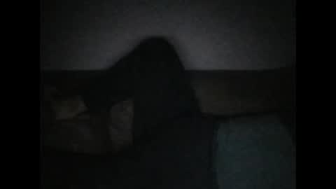 andellus online show from November 2, 11:18 pm