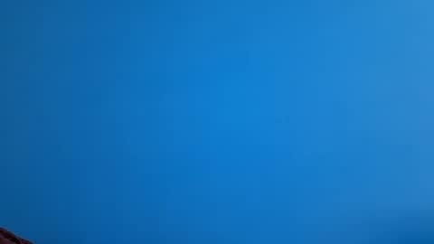 And 16.8 online show from November 21, 10:36 am