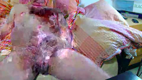 Snapshot of andi84k chatting on November 20, 4:34 am Andi online show from November 20, 4:34 am