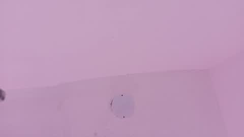 A n d r  e a S w e e t  online show from March 19, 7:40 pm