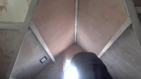 Andrew online show from April 1, 1:23 pm