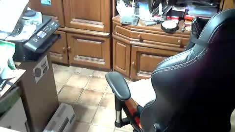 androgynia online show from October 17, 11:57 am