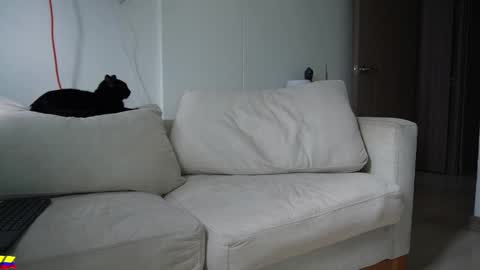 my onlyfans     online show from March 28, 7:35 pm