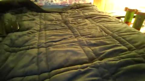 andywan94 online show from January 20, 1:42 pm