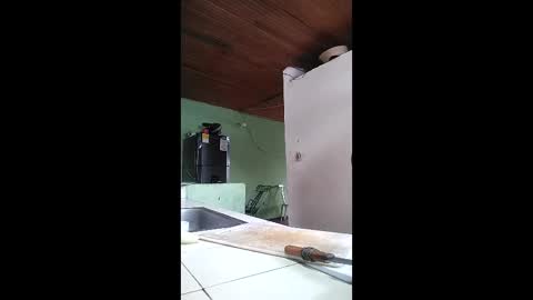 Angel dust9 online show from January 16, 4:55 pm