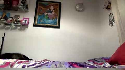 Snapshot of angelicfxxt chatting on January 23, 5:56 am angelicfxxt online show from January 23, 5:56 am