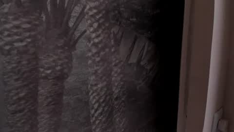 Snapshot of angelierose_ chatting on June 27, 12:33 pm Angelie Rose online show from June 27, 12:33 pm