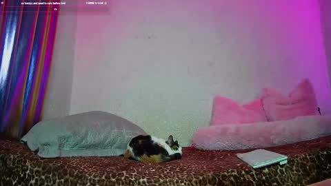 Snapshot of angelsdustxxx chatting on May 13, 5:49 am online show from May 13, 5:49 am