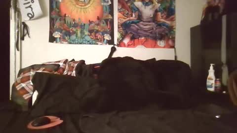 Angel and Mark online show from February 8, 5:33 am