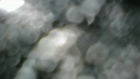 angeltta69 online show from April 8, 6:35 am