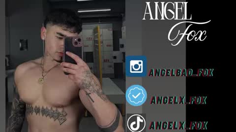 Angel Fox online show from September 17, 6:59 am