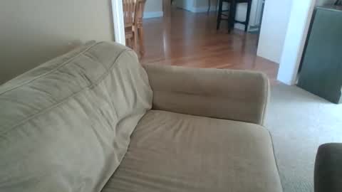 Snapshot of angh21 chatting on May 26, 2:24 pm Bill M. online show from May 26, 2:24 pm