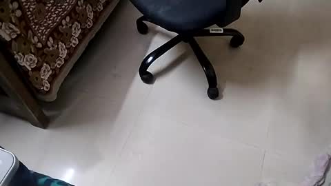 Tutu22 online show from January 10, 11:39 pm