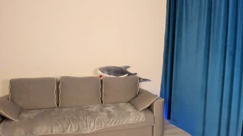 Snapshot of anna_miuu chatting on December 5, 5:37 am anna miuu online show from December 5, 5:37 am