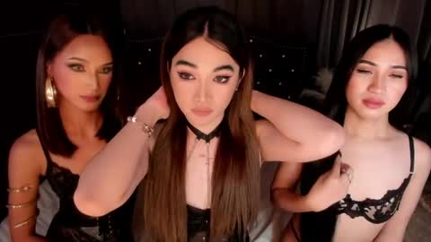 Snapshot of annalolaxoxo chatting on May 11, 11:05 am AshyElliston online show from May 11, 11:05 am