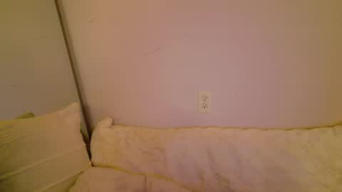 meow online show from November 8, 5:29 am