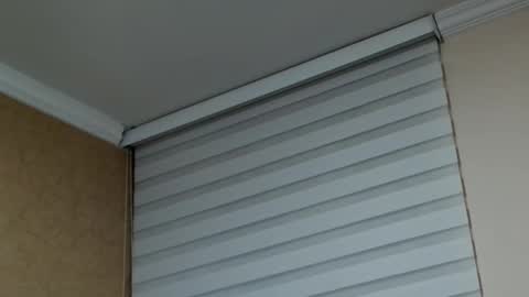       online show from February 10, 1:53 am