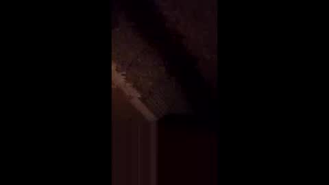 anniebunni online show from February 16, 5:36 am