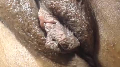 Anny online show from December 21, 5:53 pm