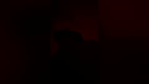 anonomouselee online show from March 16, 5:24 am