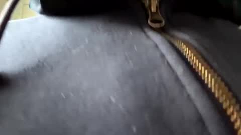 anonomousloser online show from January 6, 2:36 pm