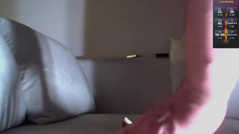 Snapshot of antonni_ chatting on February 24, 12:41 am antonni_ online show from February 24, 12:41 am